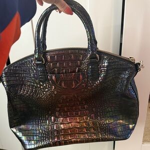 Iridescent Crocodile Embossed Women's Bag